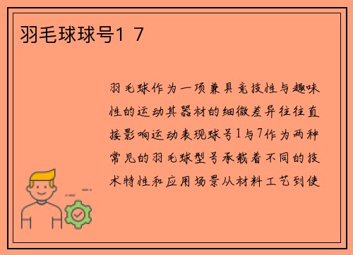 羽毛球球号1 7
